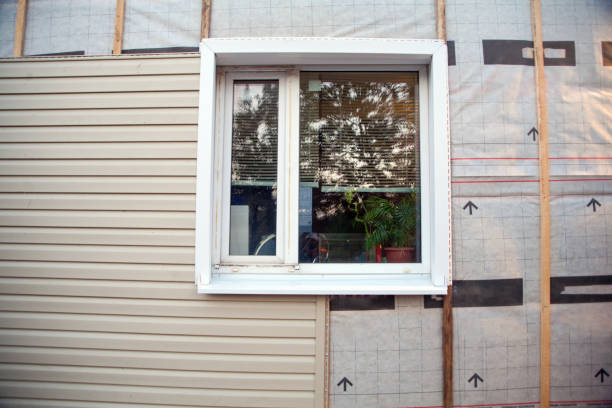 Best Steel Siding Installation  in Medford, WI